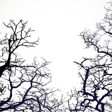 Ağaç dallarının siluetleriyle donatılmış arkaplan