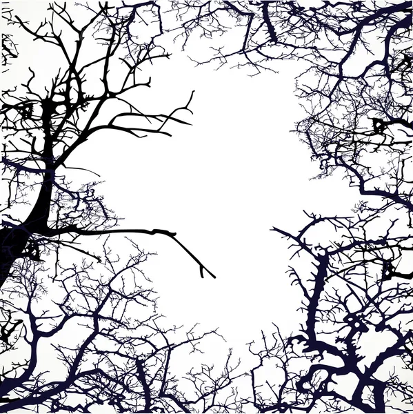 Rahmen aus Silhouetten nackter Äste von Bäumen — Stockvektor