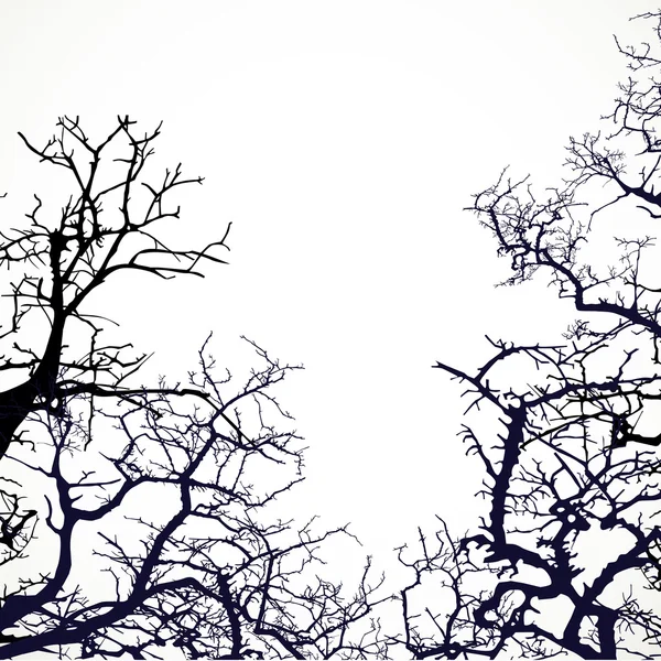 Fond avec des silhouettes de branches nues d'arbres — Image vectorielle