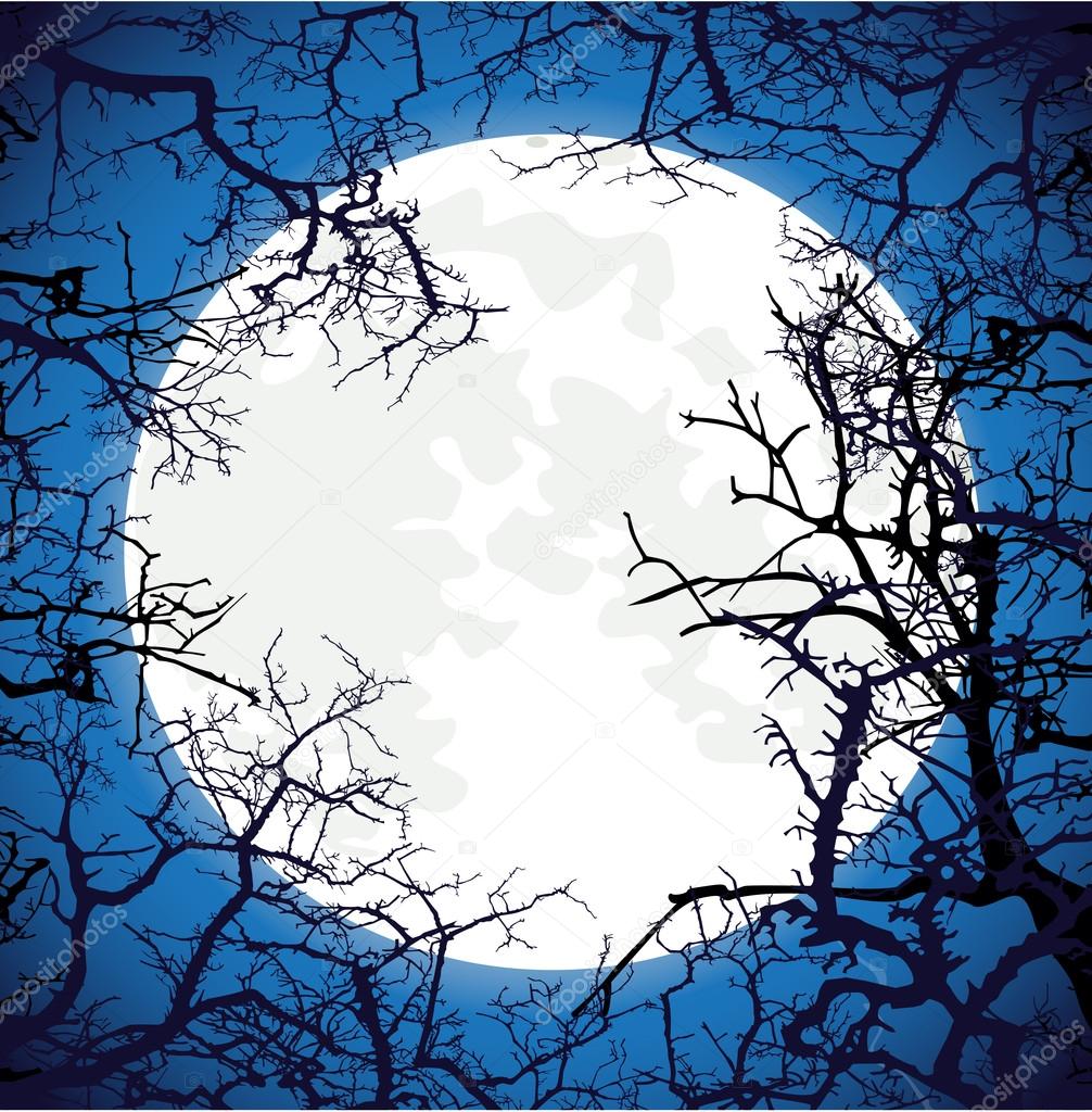 Frame from silhouettes of bare branches of trees on full moon ba