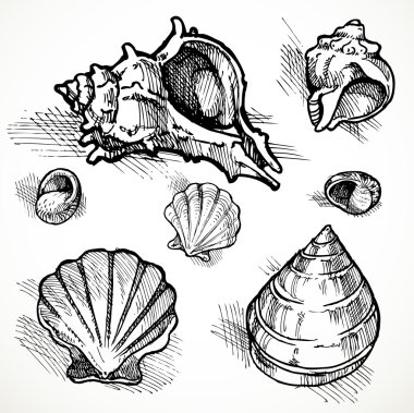 çizimler farklı şekiller kabuk 2 set