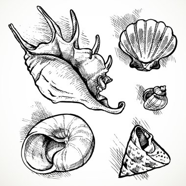 çizimler farklı şekiller shell set