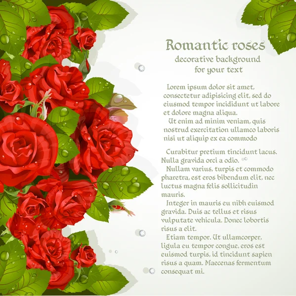 Decorative background with red roses for your text — Stock Vector