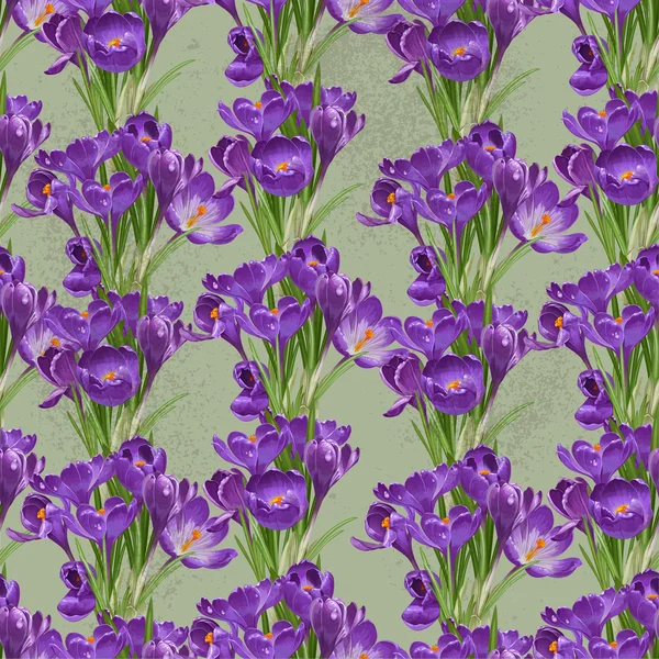 Seamless pattern from vintage spring purple crocuses — Stock Vector