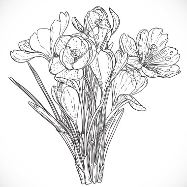 buket bahar çiğdemler asma anahat