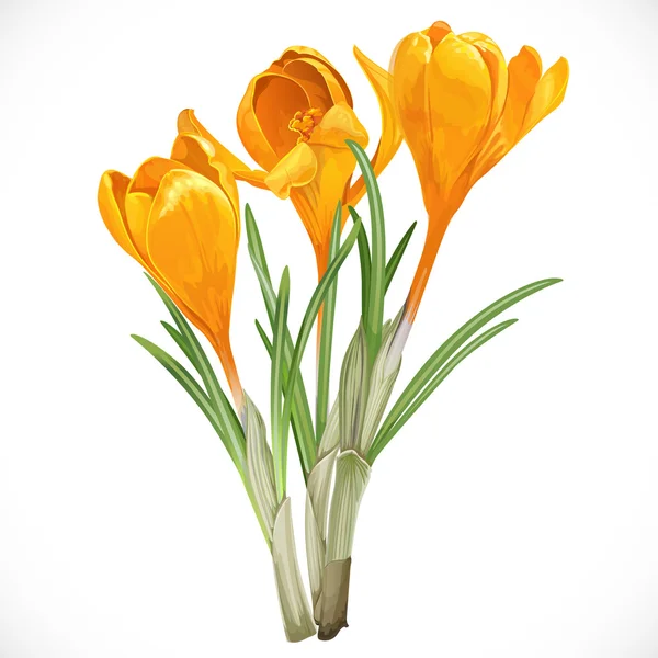 Przemalowany fioletowe kwiaty w kolorze żółtym — Wektor stockowy