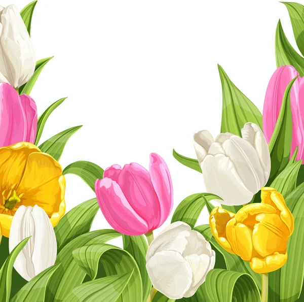 Tulipanes sobre blanco — Vector de stock