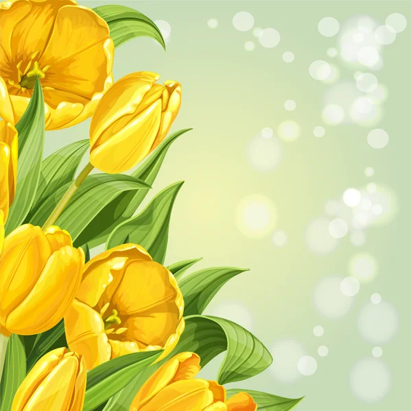 Fondo de tulipanes amarillos — Vector de stock