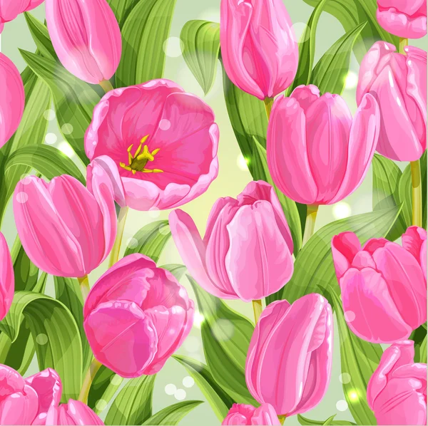 Modèle sans couture de tulipes — Image vectorielle