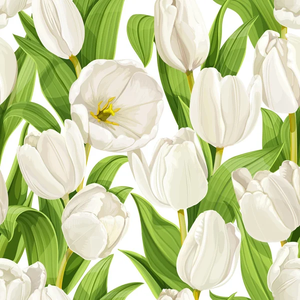 Modèle sans couture de tulipes — Image vectorielle