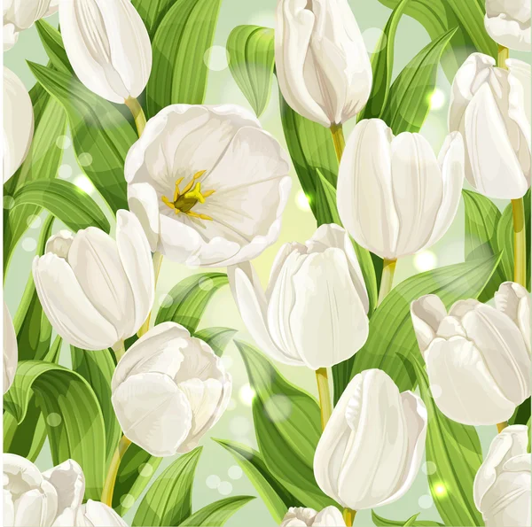 Wzór tulipanów — Wektor stockowy