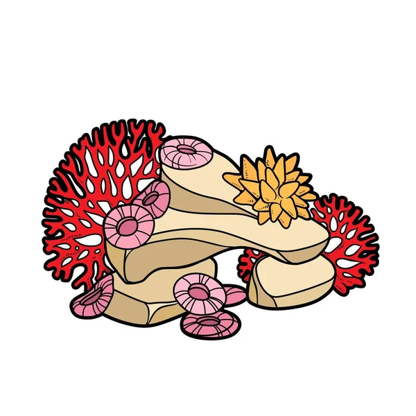 Πέτρα Αυξανόμενη Κοράλλια Και Σφουγγάρια Παραλλαγή Χρώματος Για Χρωματισμό Σελίδα — Διανυσματικό Αρχείο