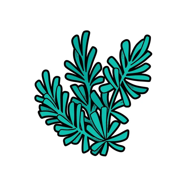 Sea Frodiga Alger Färg Variation För Färg Sida Isolerad Vit — Stock vektor