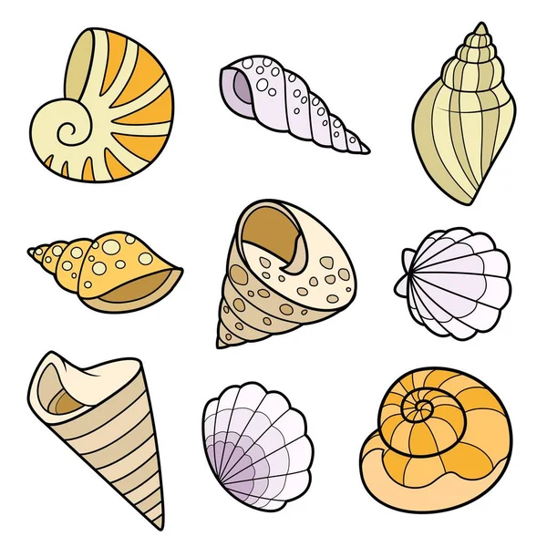 Collection Coquilles Différentes Formes Variation Couleur Pour Coloriage Isolé Sur — Image vectorielle