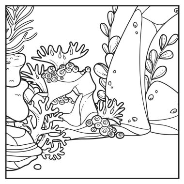 Su altı dünyası kare arkaplan taşları, mercanlar, süngerler ve algler beyaz bir renge boyamak için doğrusal çizimler 