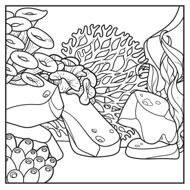 Su altı dünyası kare arkaplan taşları, mercanlar ve beyaz bir renge boyamak için algler doğrusal çizim 