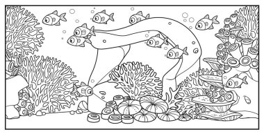 Beyaz bir zemin üzerine renklendirme için deniz tabanında taşlar, deniz şakayıkları, mercanlar ve algler ile birlikte küçük balık sürüsü 