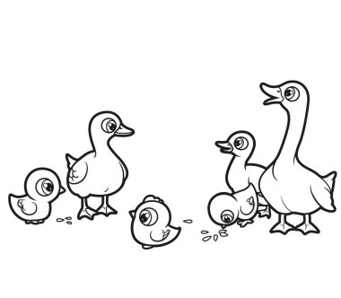 Beyaz arka plandaki boyama kitabı için büyük ve küçük çizgi film tavukları, kaz ve ördekler.