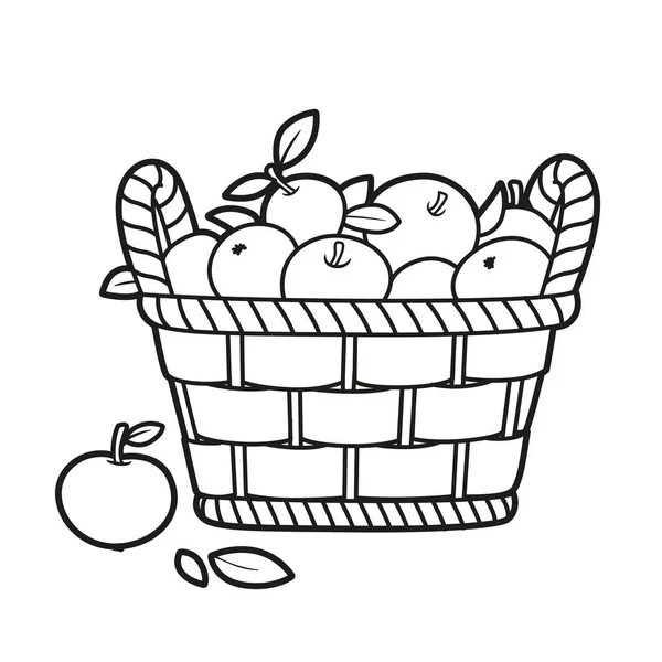 Großer Weidenkorb Mit Äpfeln Zum Ausmalen Auf Weißem Hintergrund — Stockvektor