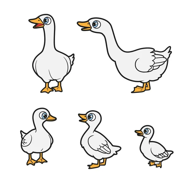 Big Small Cartoon Geese Goslings Color Variation Coloring Book White — Stock Vector