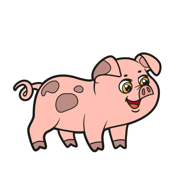 Mignon Dessin Animé Curieux Porc Variation Couleur Pour Livre Colorier — Image vectorielle