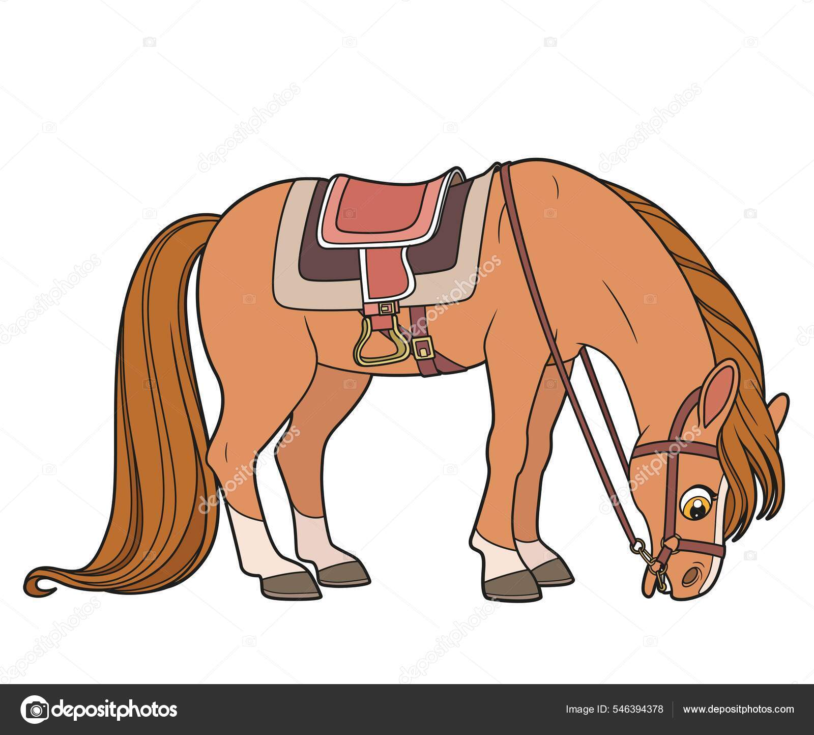 Saddle Nose Images Clipart