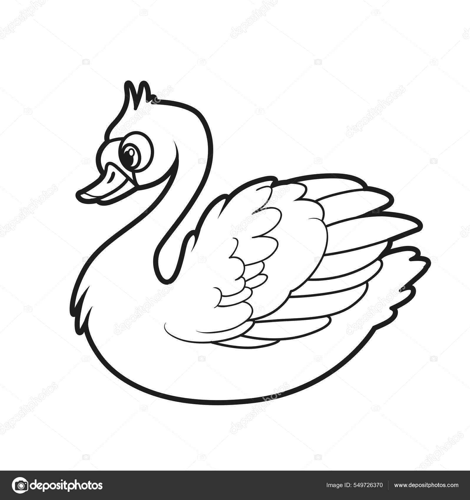 Cute Cartoon Swan Color Variation Drawing Coloring White Background Stock  Vector Image by ©yadviga #549726370