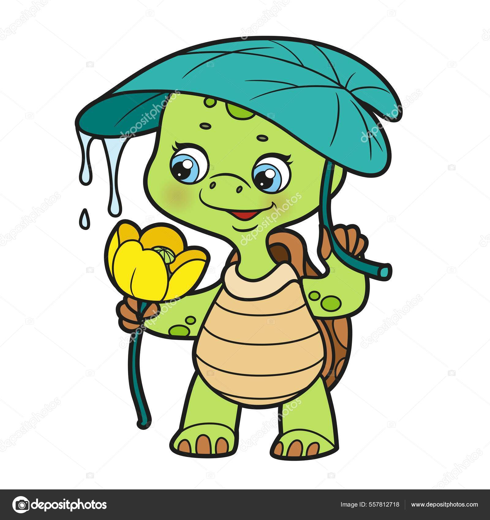 Image vectorielle Tortue Dessin Animé Avec Une Feuille Sur Tête Cache  Derrière par ©yadviga - 557812718, image size:1600x1700