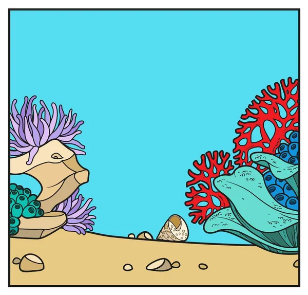 Einfacher Quadratischer Hintergrund Mit Den Anemonen Steinen Und Korallen Farbvariante — Stockvektor