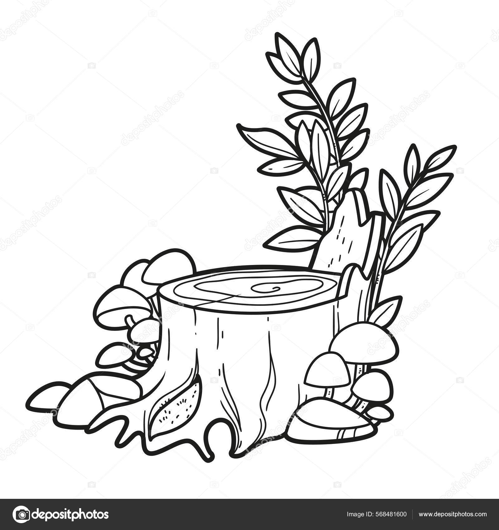 Stump drawing deals