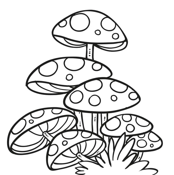 Large Fly Agaric Mycelium Linear Drawing Coloring Isolated White Background — Wektor stockowy