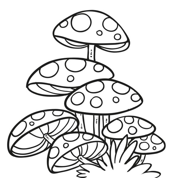 Large fly agaric mycelium linear drawing for coloring isolated on white background