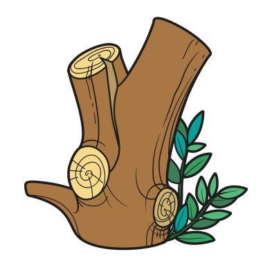 Beyaz arkaplanda izole edilmiş renk sayfası için büyük uzun kütük renk varyasyonu