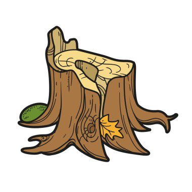 Beyaz arkaplanda izole edilmiş renklendirme sayfası için eski kütük içi renk varyasyonu