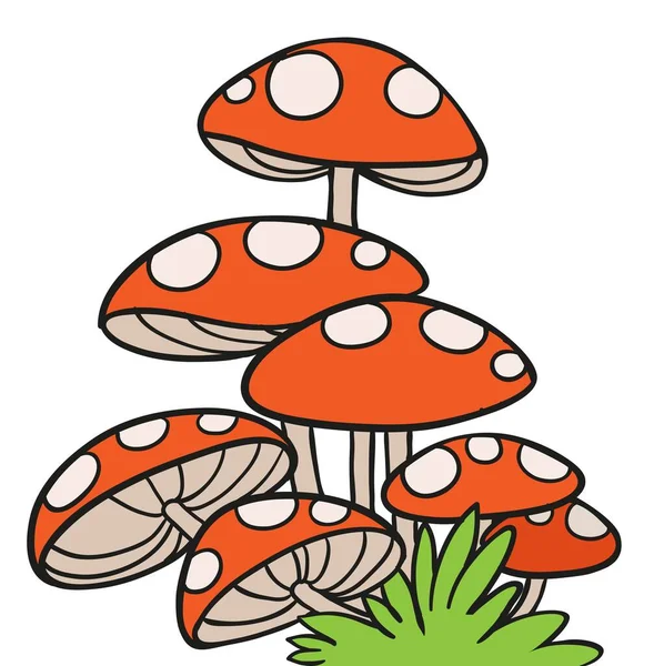 Large Fly Agaric Mycelium Color Variation Coloring Page Isolated White — Stockový vektor
