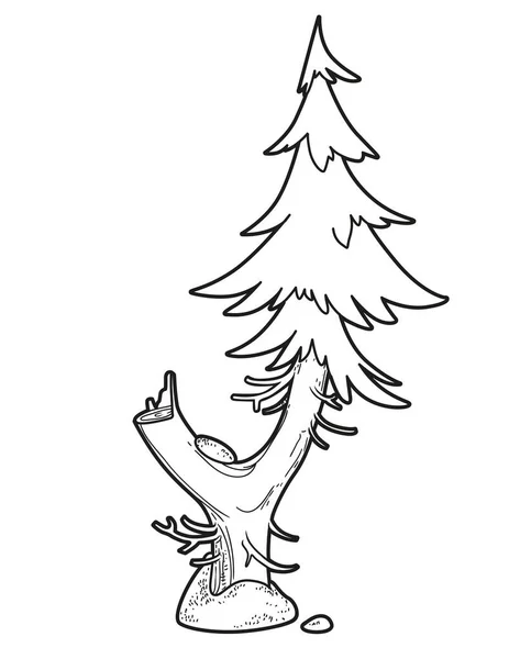 Spruce Πιρούνι Και Κούτσουρο Παλιό Δέντρο Γραμμικό Σχέδιο Για Χρωματισμό — Διανυσματικό Αρχείο