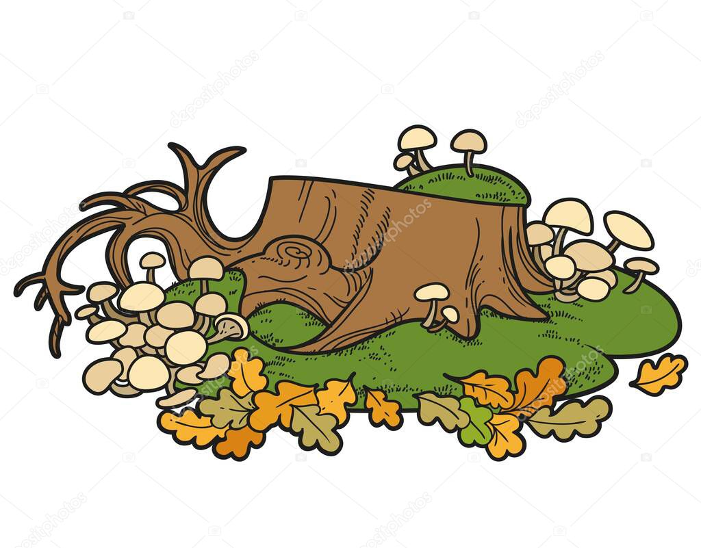 Big low stump with toadstools and moss sprinkled with oak leaves color variation for coloring page isolated on white background
