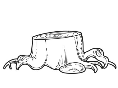 Beyaz arkaplanda izole edilmiş renkler için büyük düşük gövdeli doğrusal çizim