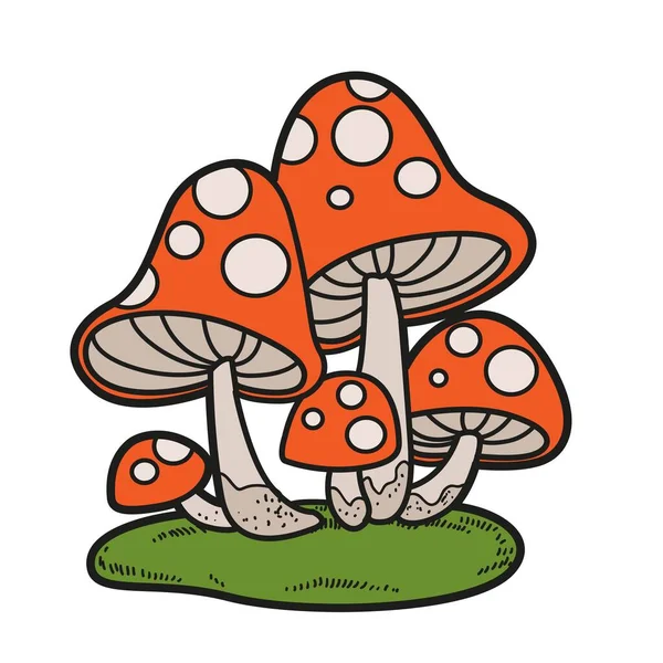Poisonous Fly Agaric Moss Color Variation Coloring Page Isolated White — Stock Vector