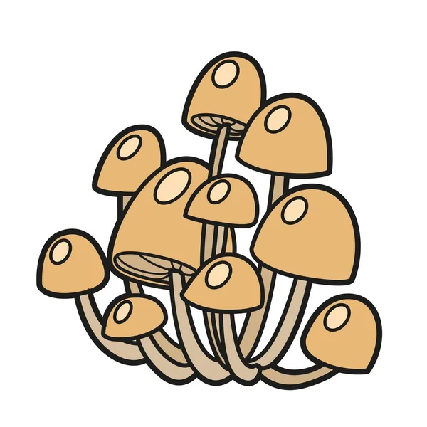 Giftige Paddestoel Paddestoelen Kleurvariatie Voor Kleurplaten Geïsoleerd Witte Achtergrond — Stockvector