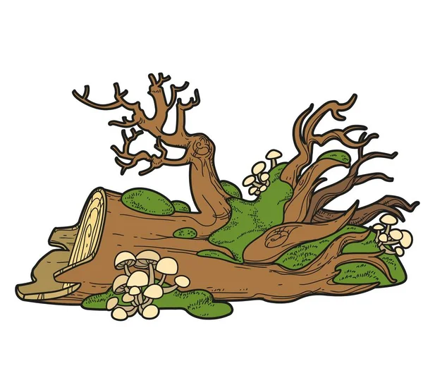 苔とキノコの色のバリエーションで覆われた白い背景に隔離された着色ページのための推進されていない古い木 — ストックベクタ