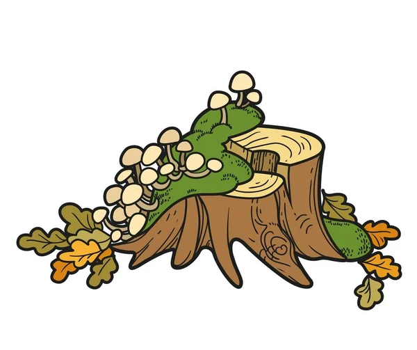 Großer Niedriger Baumstumpf Mit Moos Giftigen Pilzen Und Bestreut Mit — Stockvektor