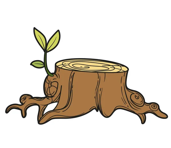 Stump Fiatal Hajtás Színváltozata Színező Oldal Elszigetelt Fehér Háttér — Stock Vector