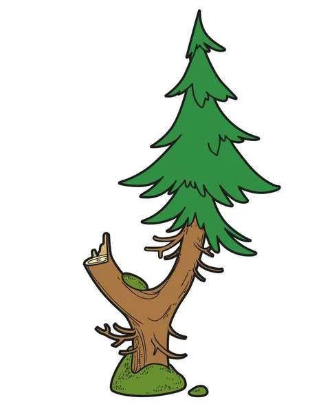 Spruce Fork Stump Old Tree Color Variation Coloring Page Isolated — Stock Vector