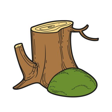 Beyaz arkaplanda izole edilmiş renk sayfası için yosun renk varyasyonlu büyük kütük