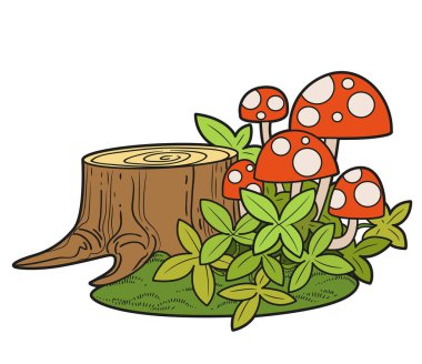 Beyaz arkaplanda izole edilmiş renklendirme sayfası için çimen çalılıklarında kütük ve sinek agarik renk varyasyonu