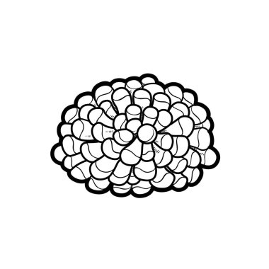 Beyaz arkaplanda izole edilmiş Anemone boyama kitabı doğrusal çizimi