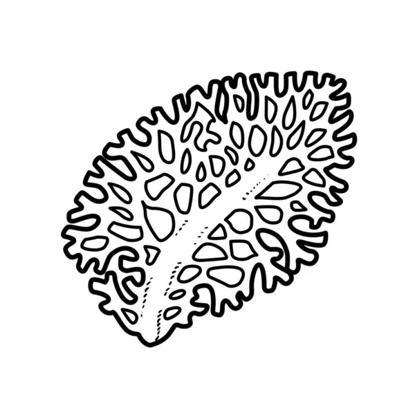 Grand Livre Coloriage Corall Dessin Linéaire Isolé Sur Fond Blanc — Image vectorielle