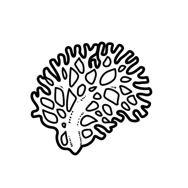Corall Livre Coloriage Objet Dessin Linéaire Isolé Sur Fond Blanc — Image vectorielle
