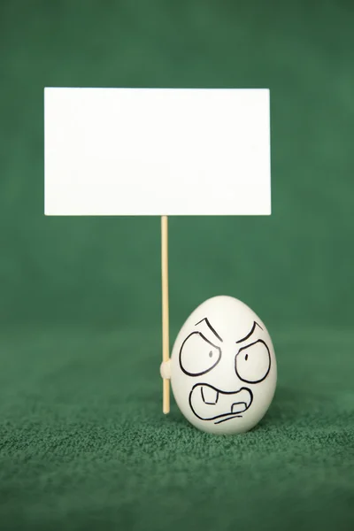 Ägg. — Stockfoto